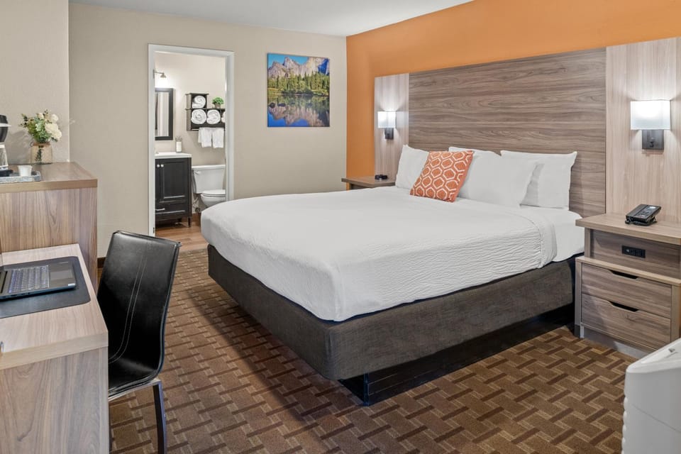 Bed, Photo of the whole room, Bedroom, hair dresser