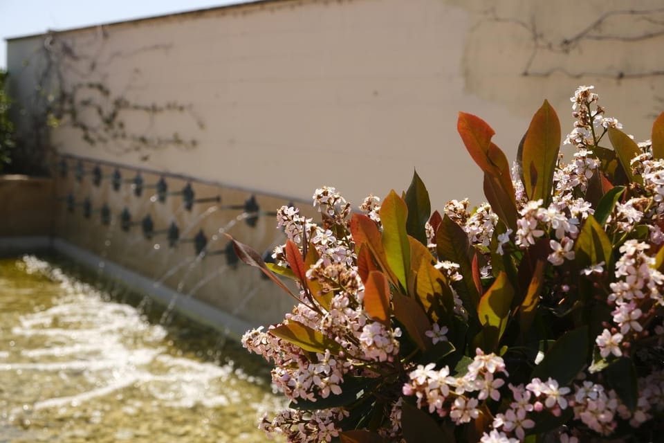 Spring, Day, Garden, Garden view