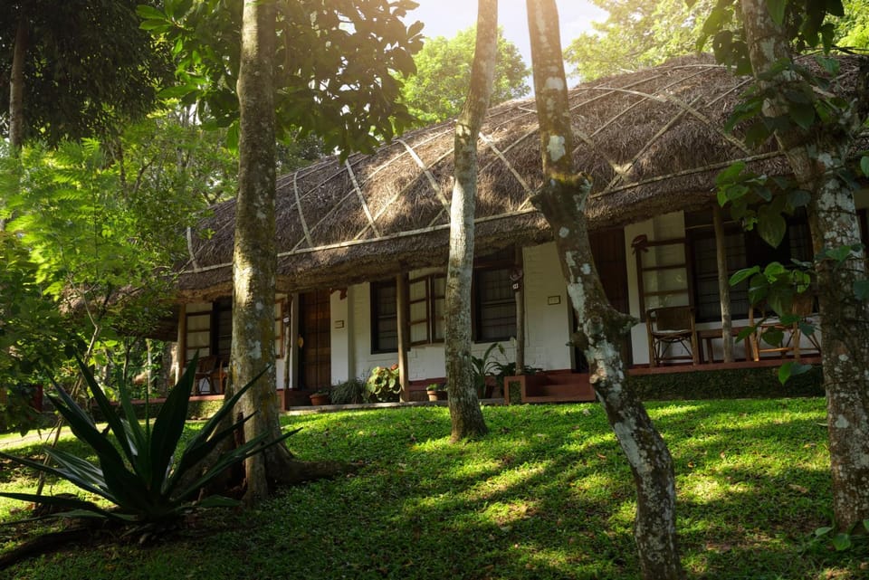 Property building, Natural landscape, Garden