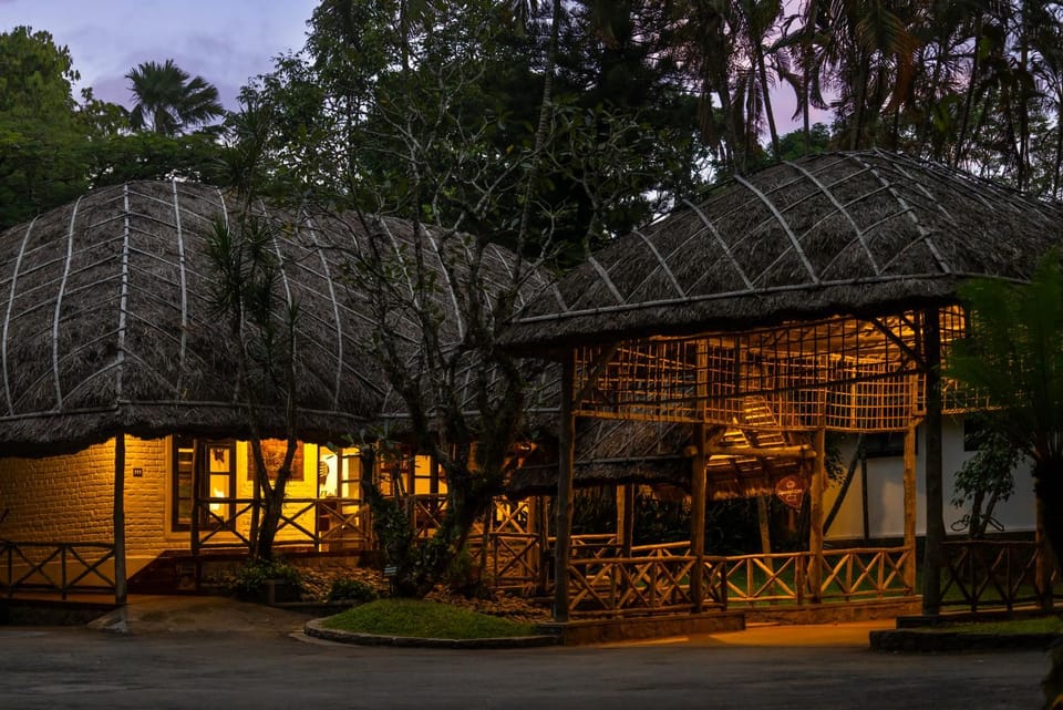 Property building, Night, Garden view