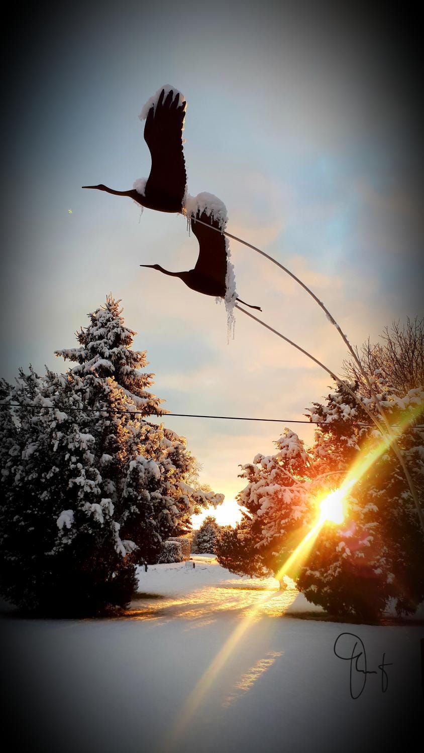 Eiscafe&Pension Schumann Bed and Breakfast in Mecklenburg-Vorpommern, Germany