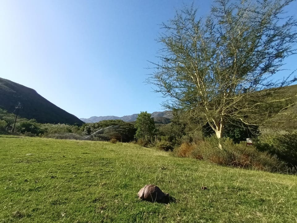 Natural landscape, View (from property/room), Mountain view