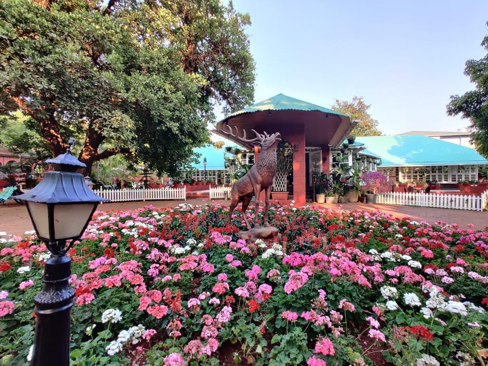 Day, Garden