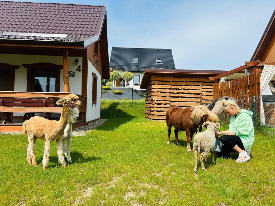 Domki Eden z Balią i sauną Nature lodge in Pomeranian Voivodeship