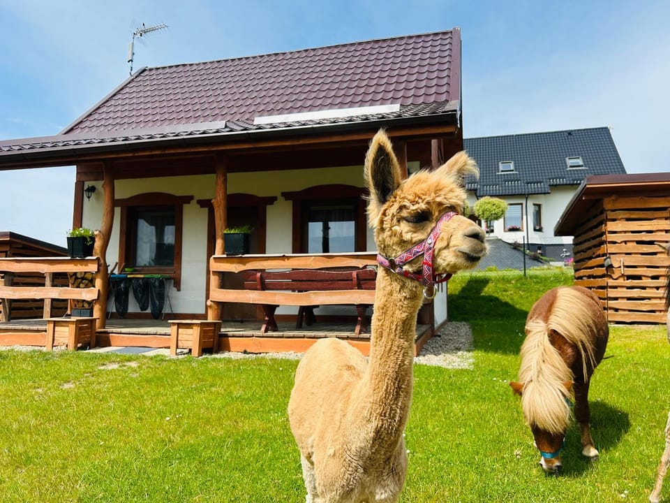 Domki Eden z Balią i sauną Nature lodge in Pomeranian Voivodeship