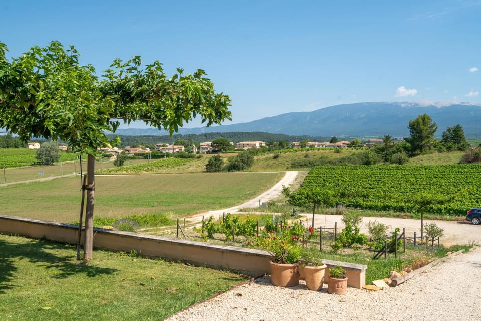 Natural landscape, Garden view, Mountain view
