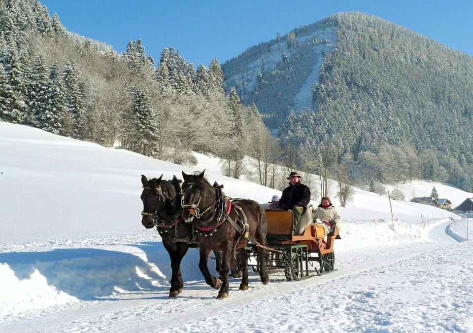 People, Winter