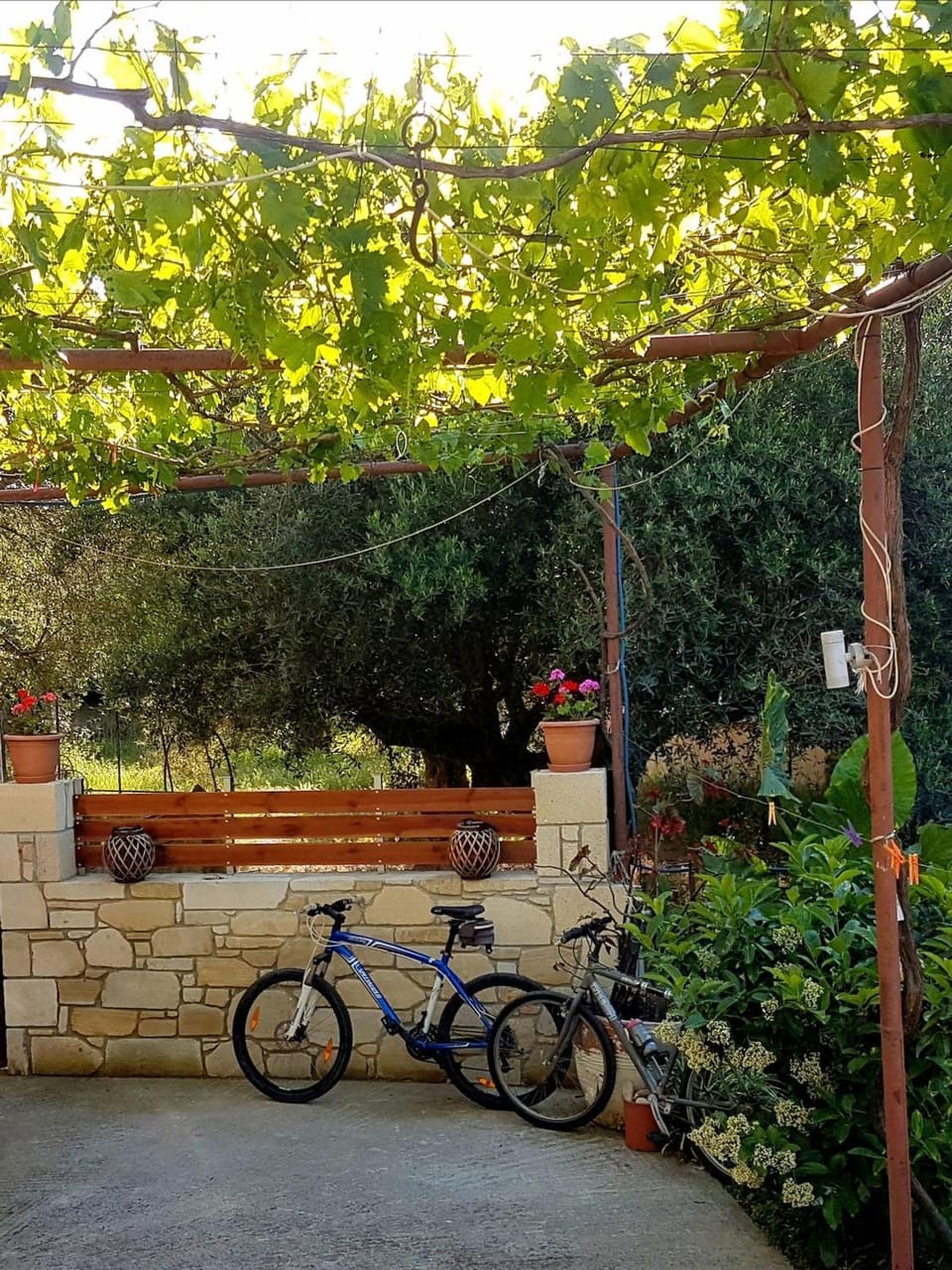 Elia Guesthouse - Kissamos House in Crete