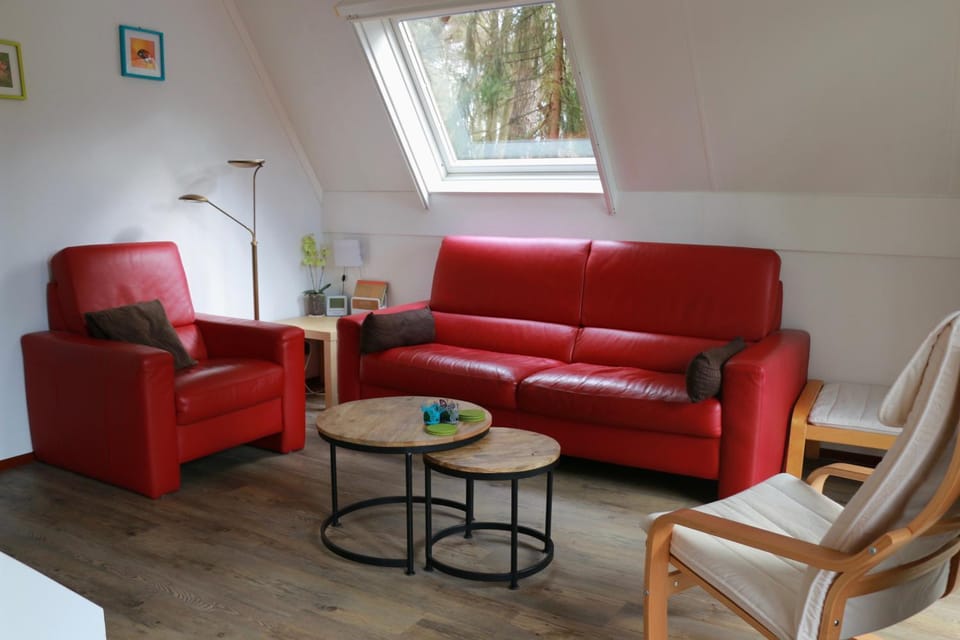 Living room, Photo of the whole room