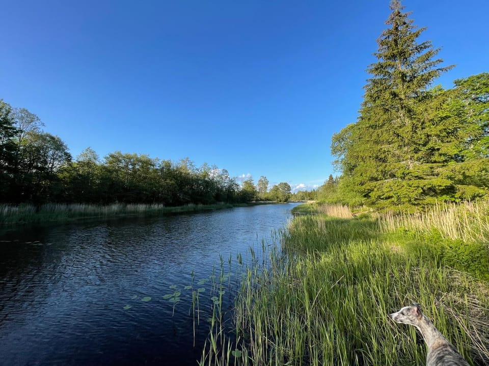 River view
