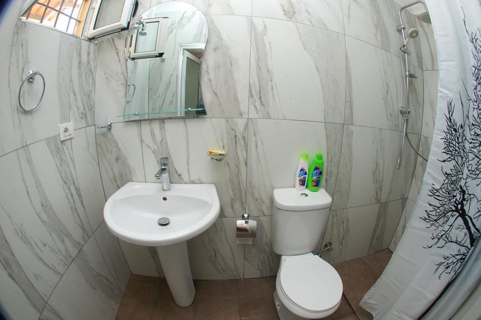 Shower, Toilet, Bathroom, Decorative detail