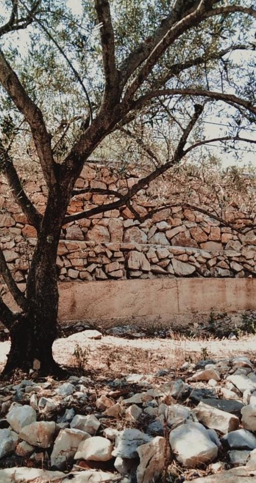 House Sardelić Bed and Breakfast in Dubrovnik-Neretva County