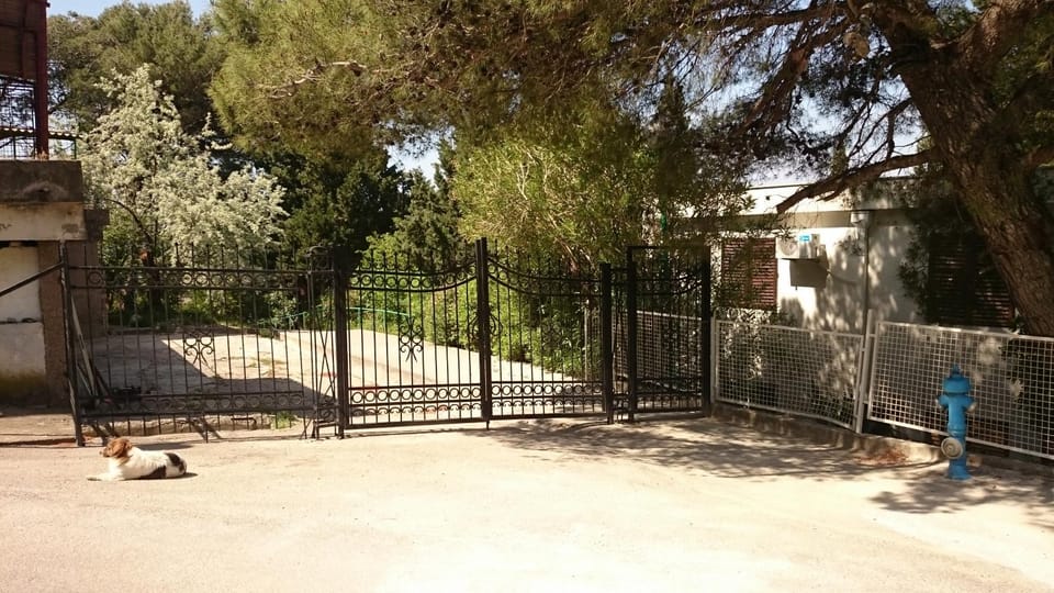 Off site, Text overlay, Pets, Street view, Area and facilities