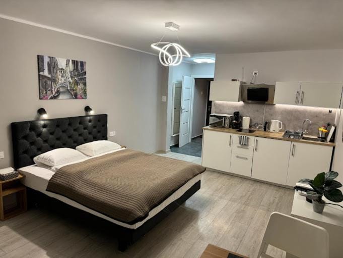 Bed, Kitchen or kitchenette, Photo of the whole room, Seating area, Bedroom