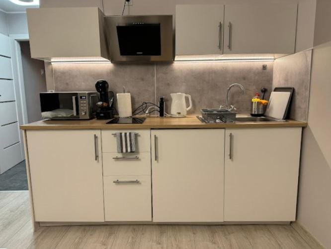 Kitchen or kitchenette, minibar, stove