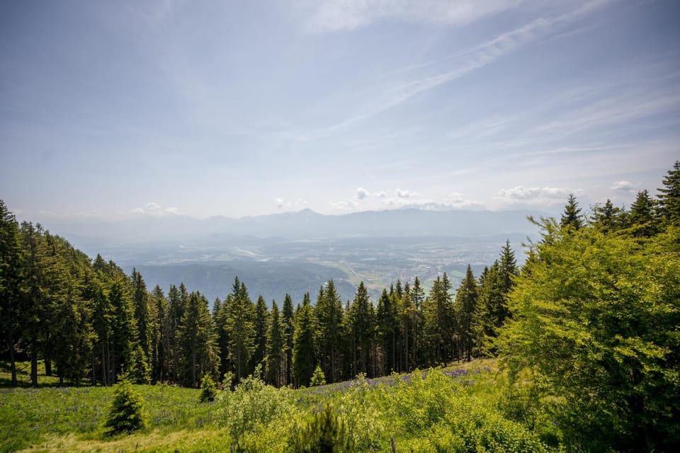 MOOKI Mountain & Pool Gerlitzen Apartment Apartment in Carinthia, Austria