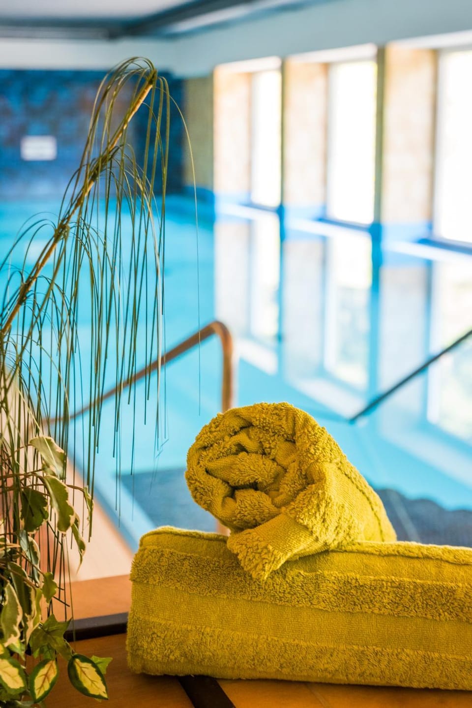 Swimming pool, Public Bath