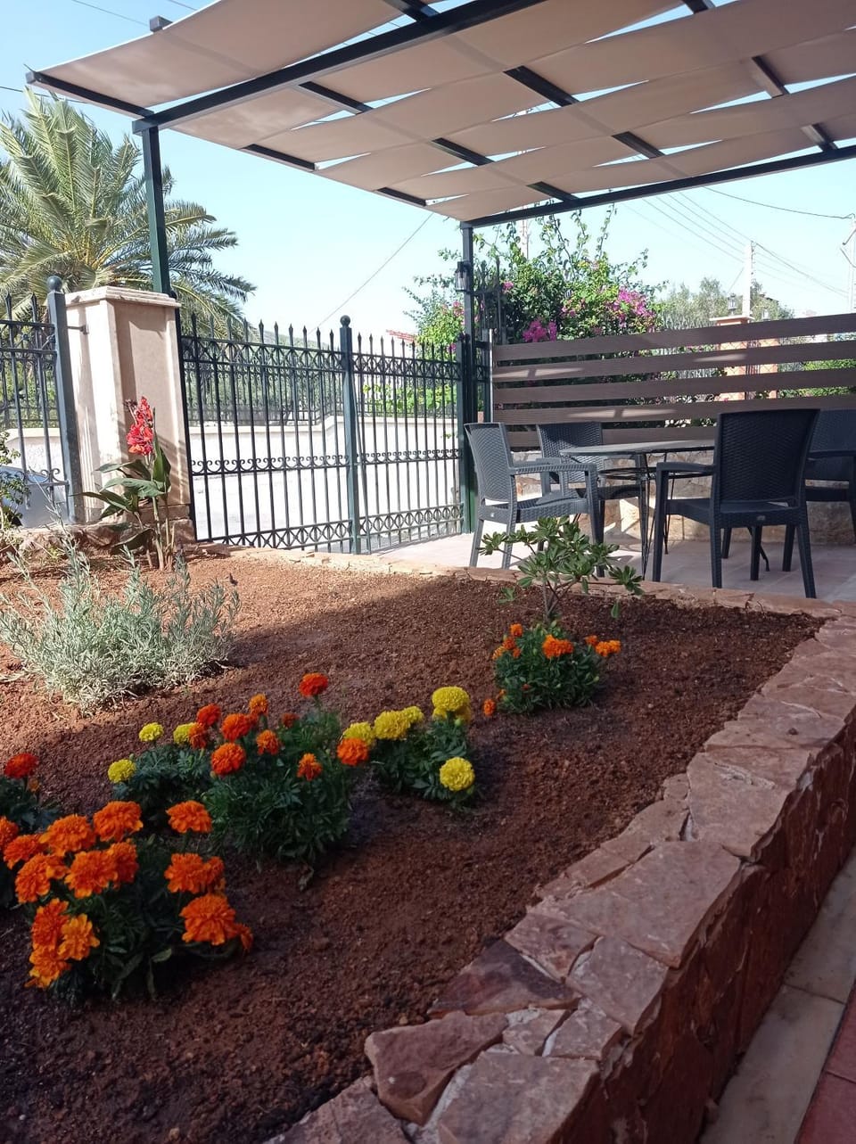 Garden, Balcony/Terrace, Garden view