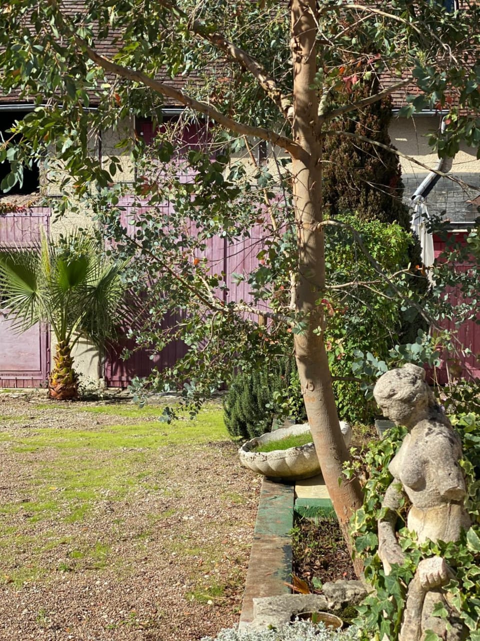 Natural landscape, Garden