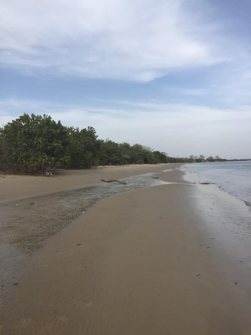 Feel Free Lodge Nature lodge in Senegal