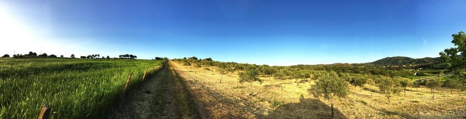 View (from property/room), Street view