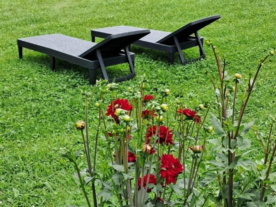 Garden, Seating area