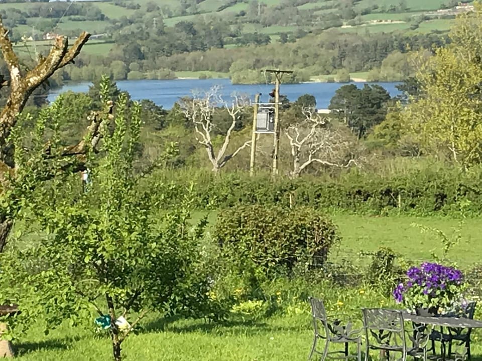 Lake view