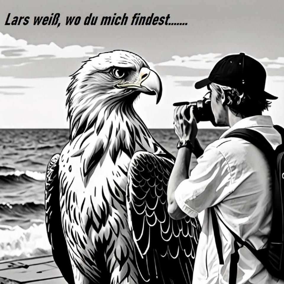 Hotel-Pension Seeadler Bed and Breakfast in Prerow