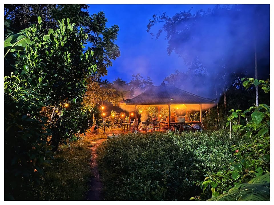 Night, Natural landscape, Garden, Garden view