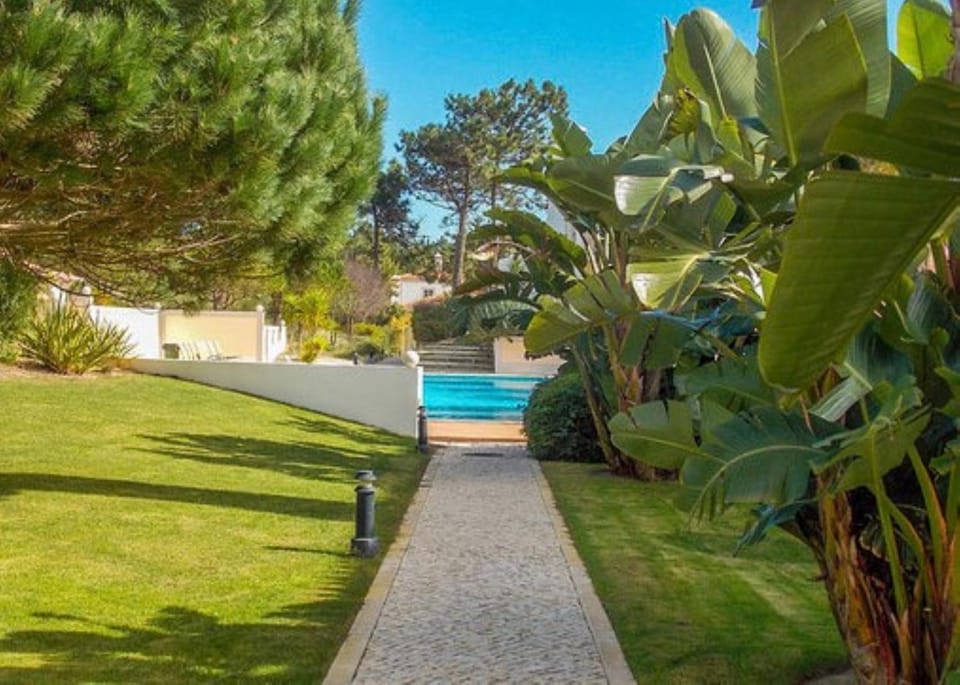 Garden, Swimming pool