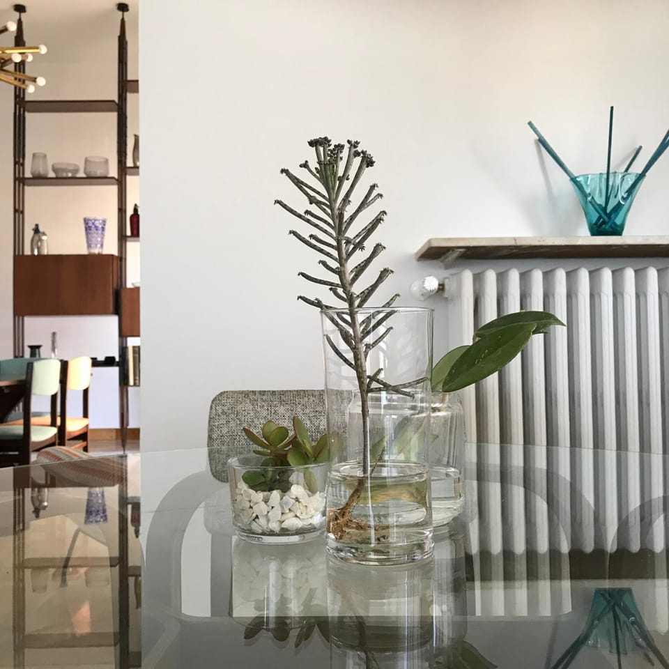 Lounge or bar