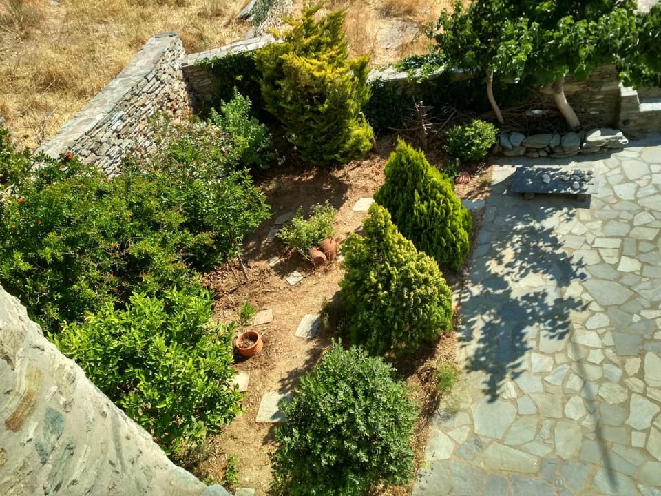 Garden, Balcony/Terrace