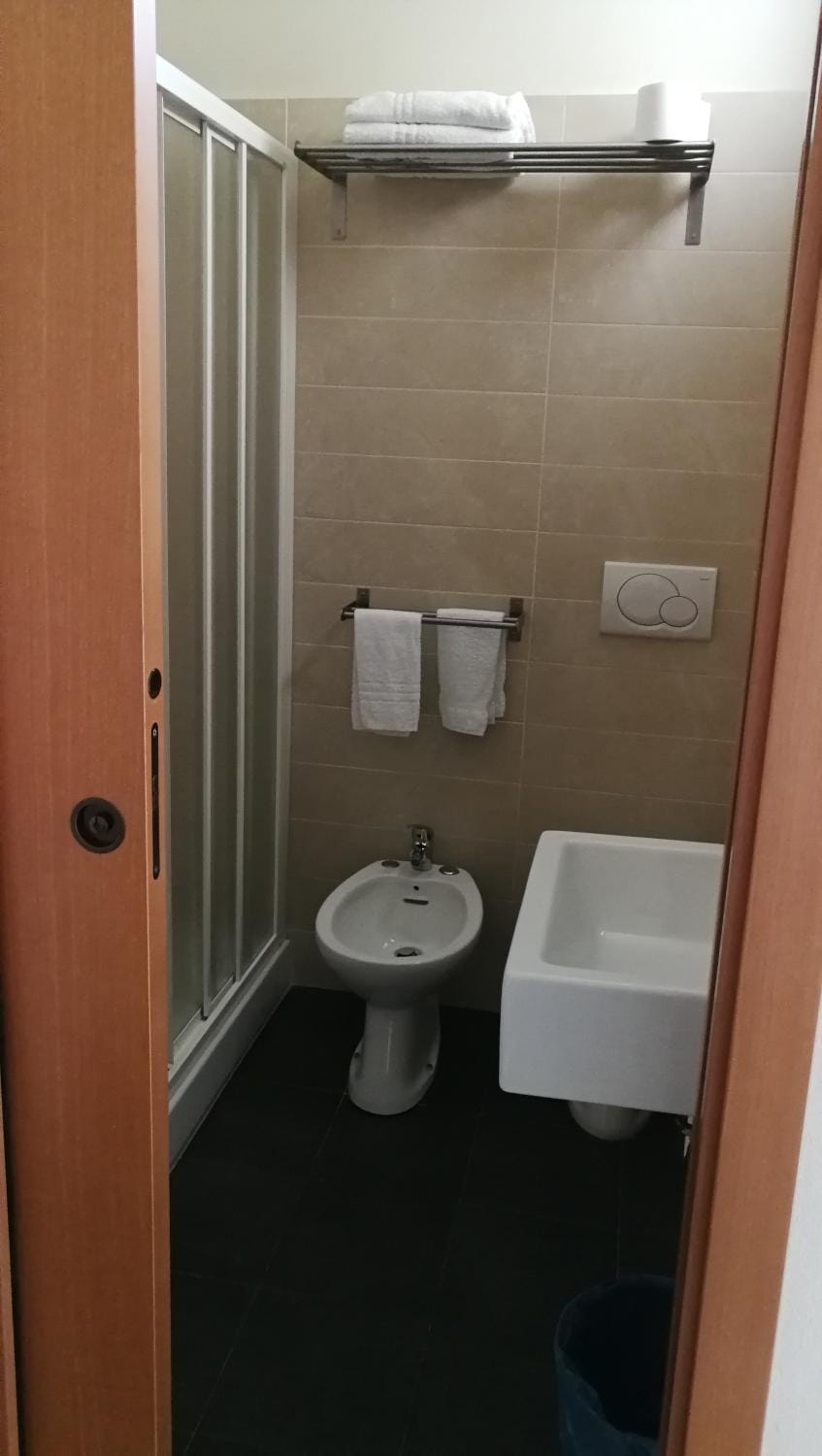 Shower, Toilet, Bathroom, bidet, hair dryier, towels