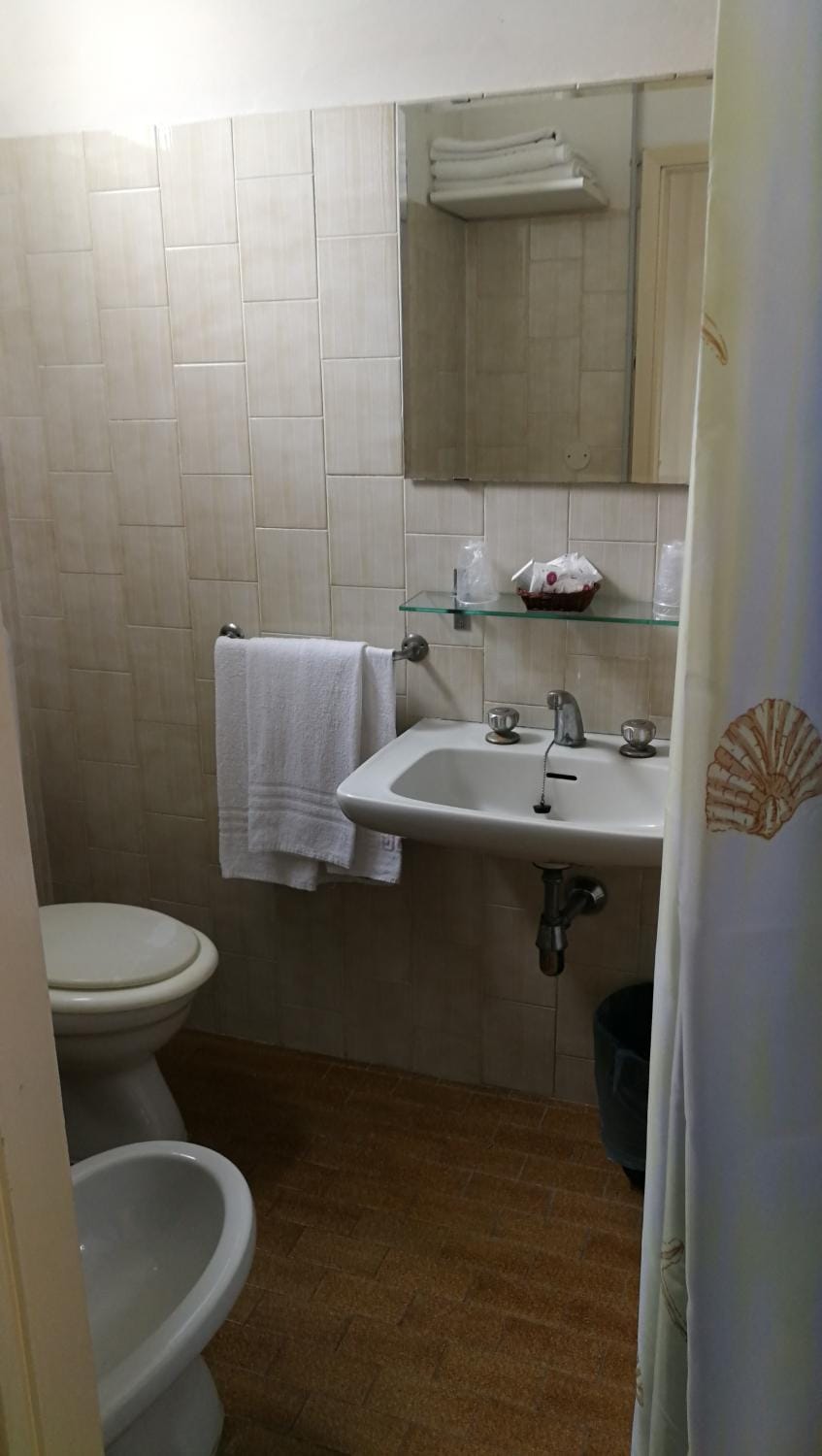 Shower, Toilet, Bathroom, bidet, hair dryier, towels