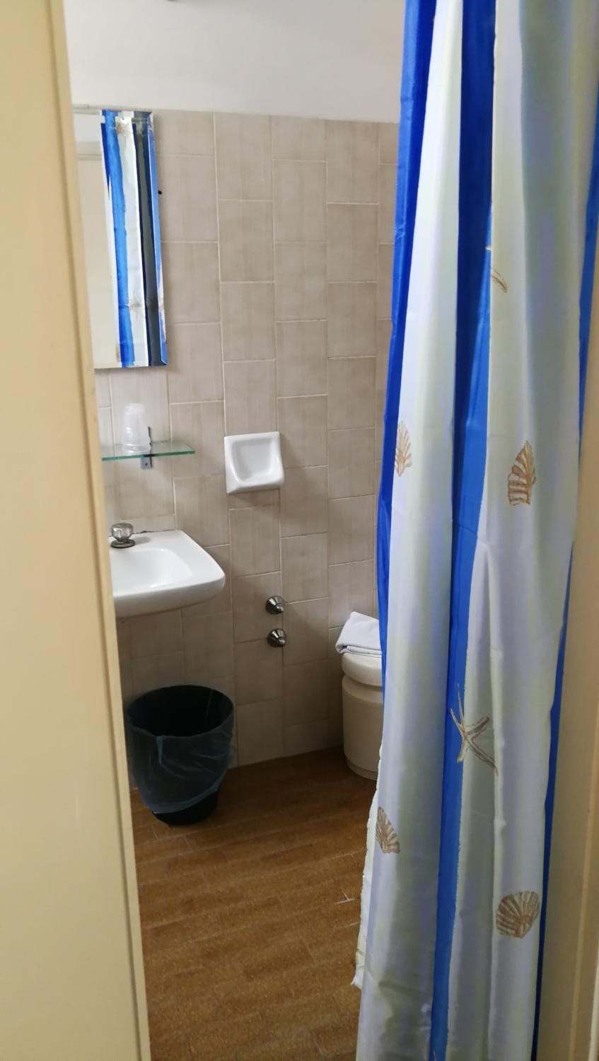Shower, Toilet, Bathroom, bidet, hair dryier, towels, towels