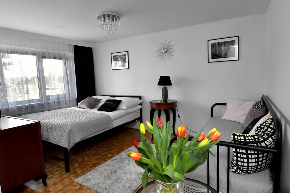 Apartament Spytkowice - 8 km od ENERGYLANDIA - ZATOR Apartment in Lesser Poland Voivodeship