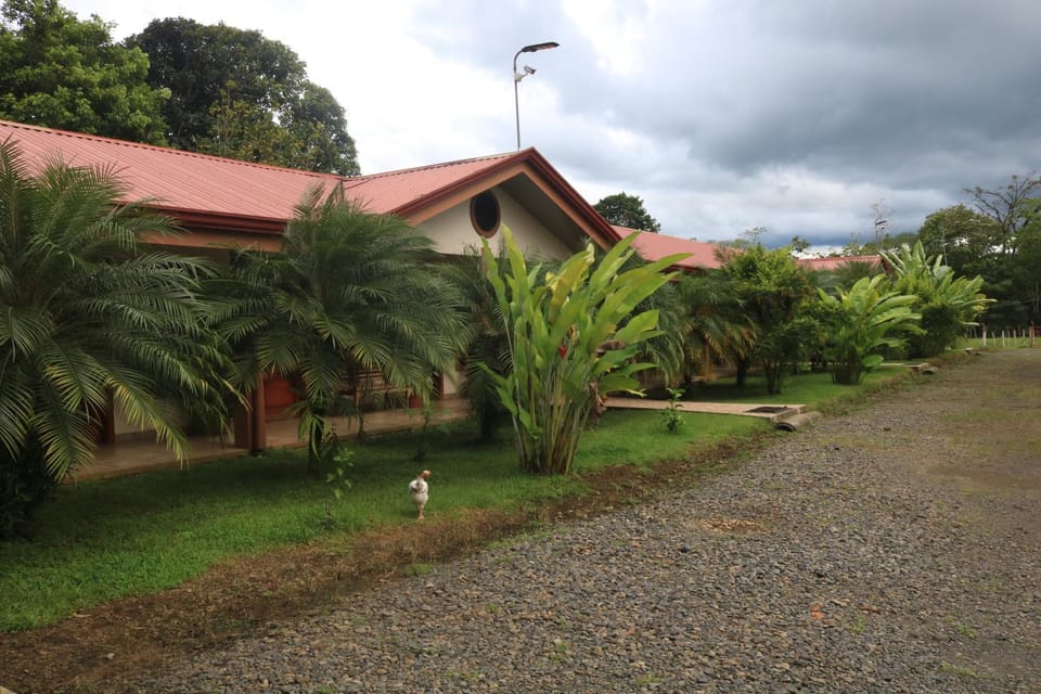 Property building, Garden