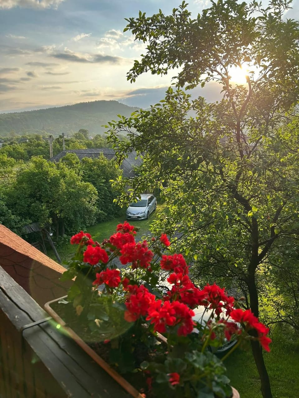 Pensiunea Ardelean Bed and Breakfast in Romania