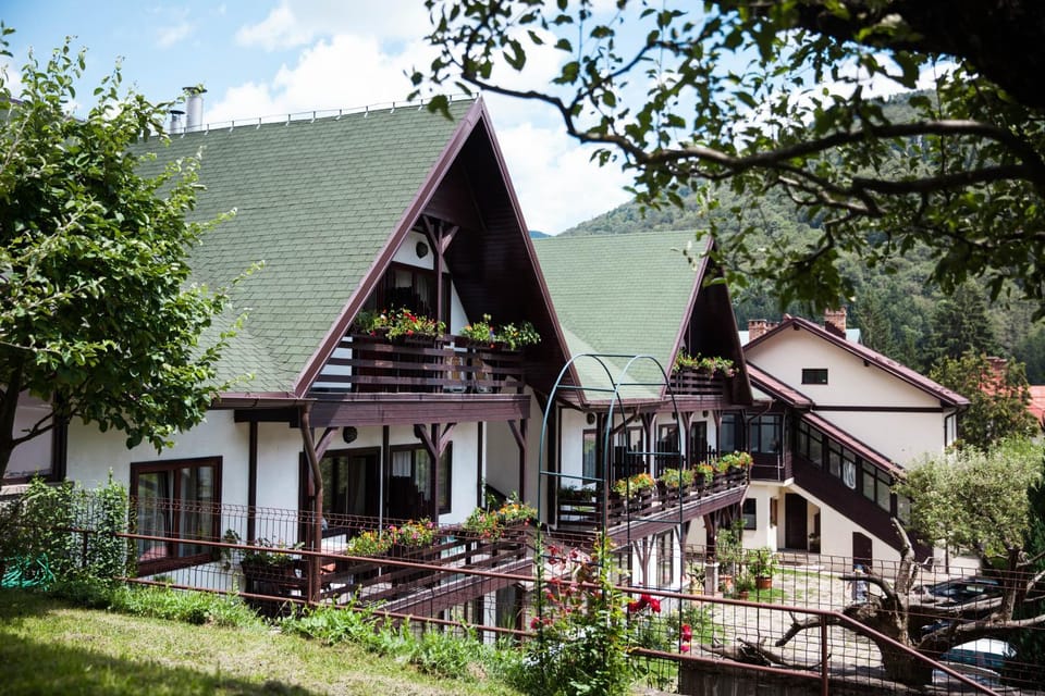 Property building, Day, Summer, Garden