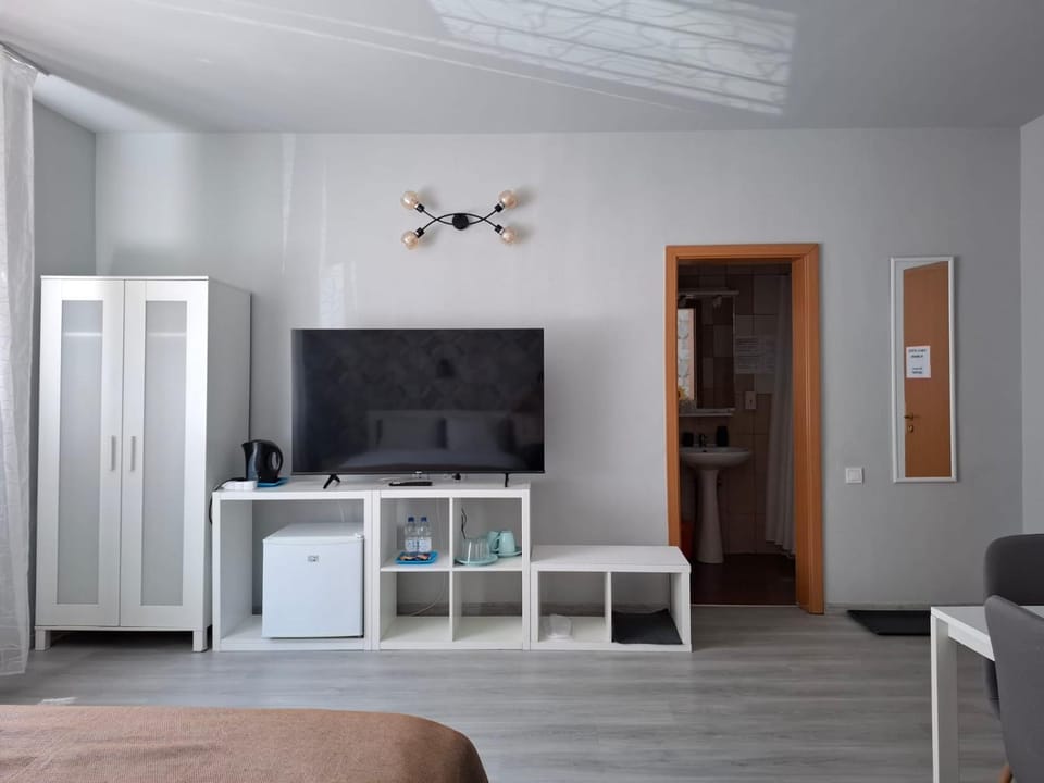 TV and multimedia