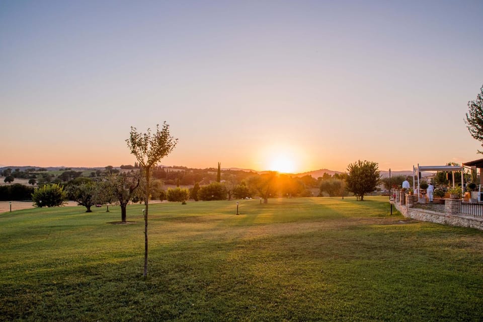 Natural landscape, Garden, Sunset