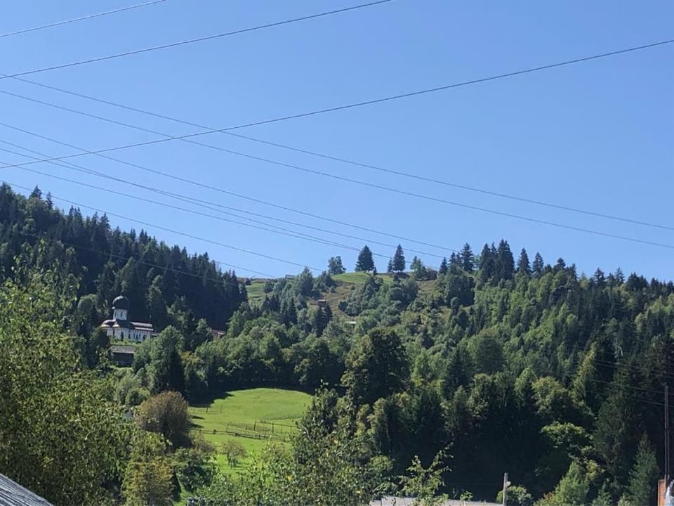 Casa Firuta Borsa Bed and Breakfast in Romania