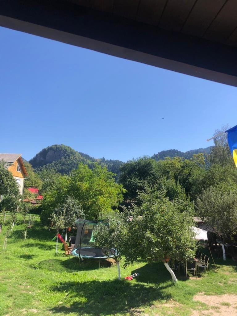 Casa Firuta Borsa Bed and Breakfast in Romania
