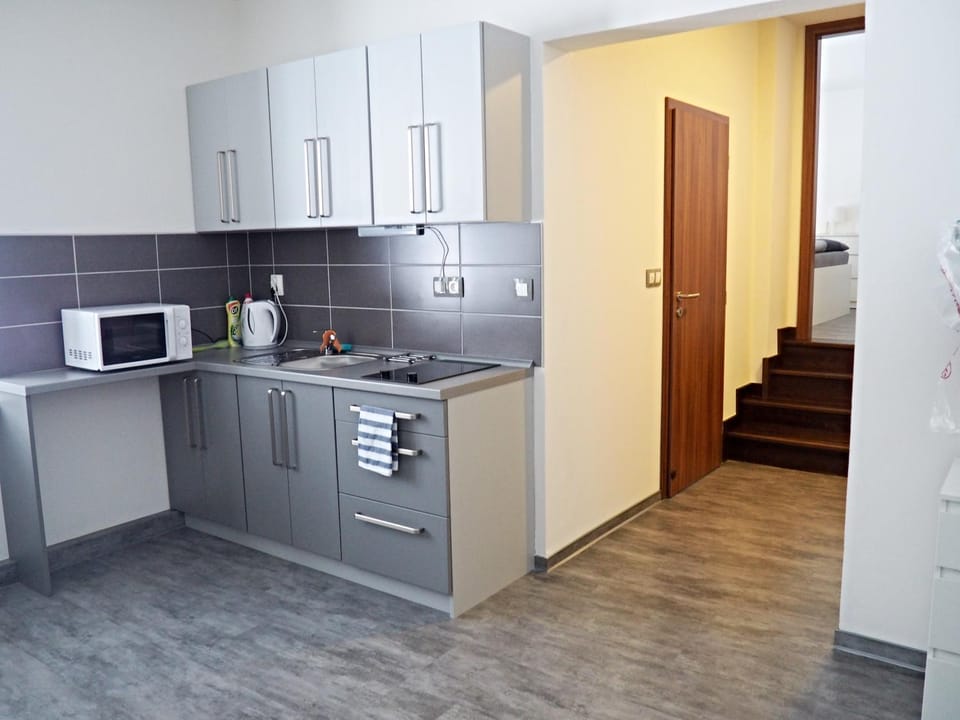 Kitchen or kitchenette, minibar, stove