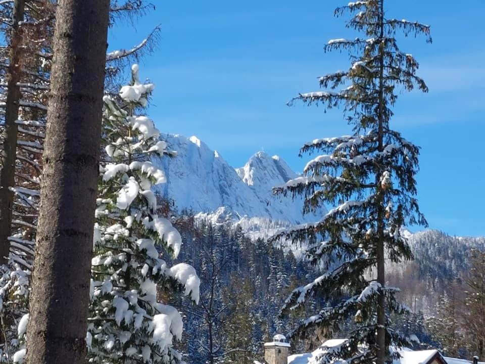 Dom Pod Skocznią Vacation rental in Zakopane