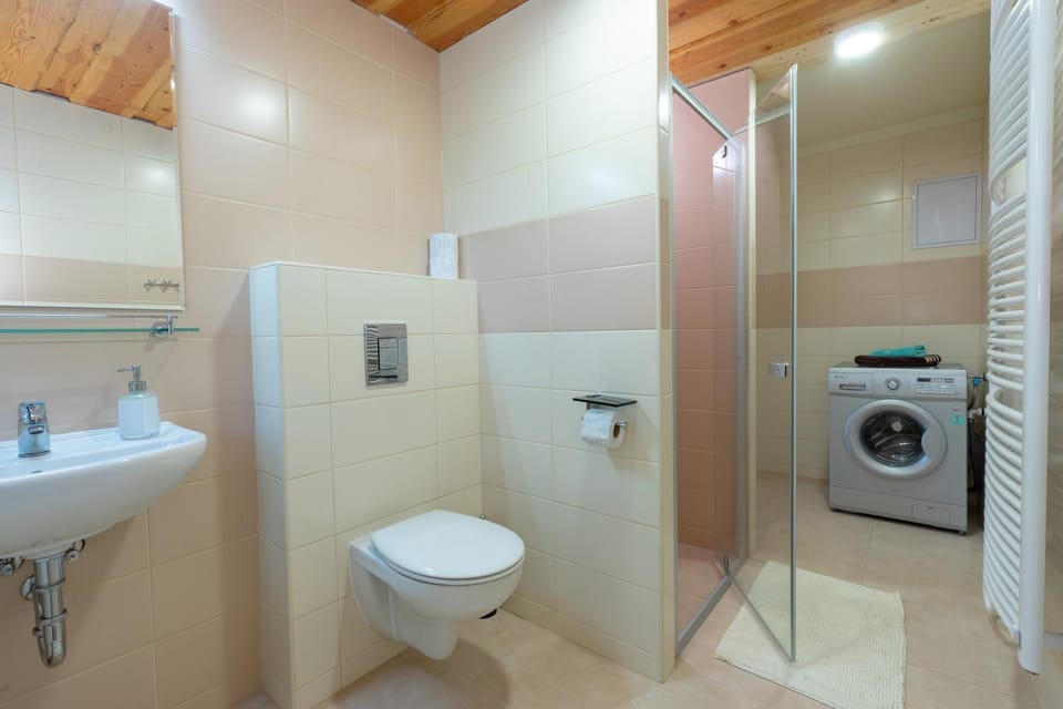 Shower, Toilet, Bathroom, washing machine
