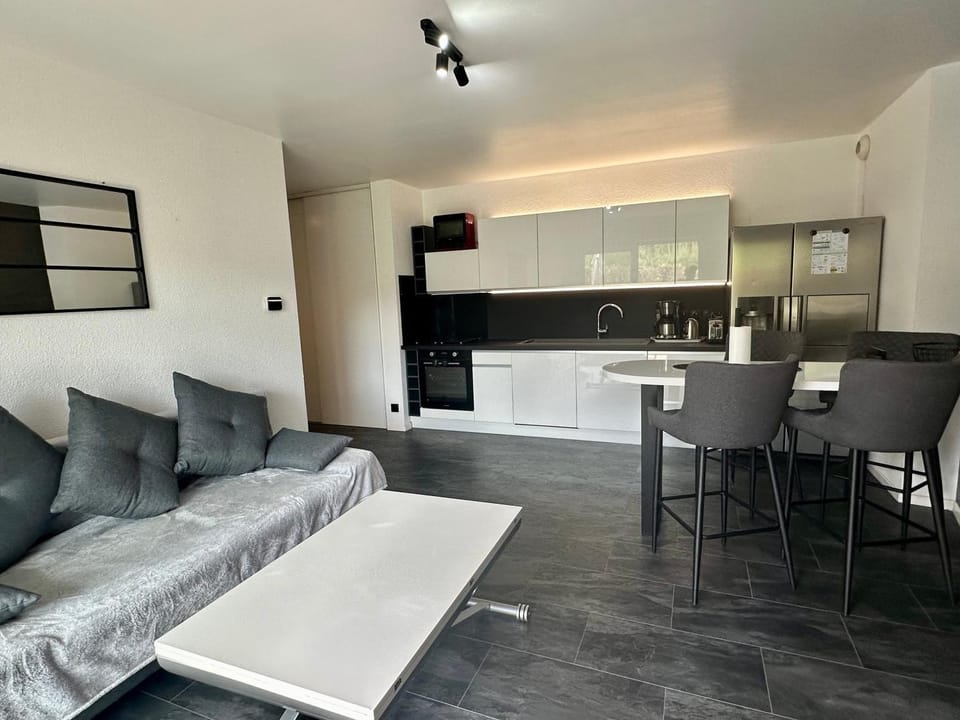 Royal Standing- Terrasse & Parking Privé Apartment in Évian-les-Bains