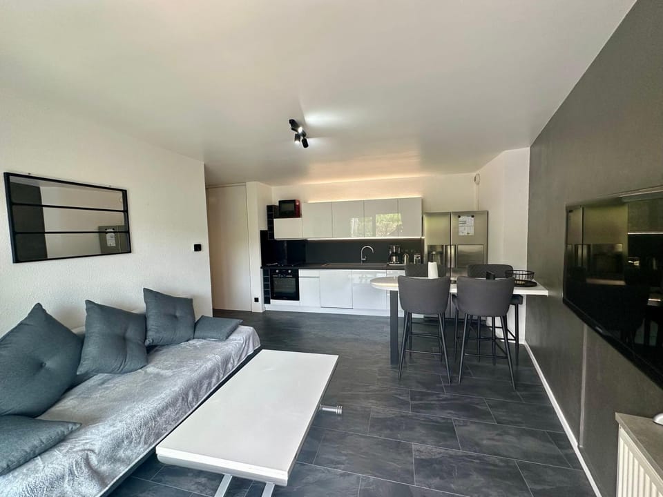 Royal Standing- Terrasse & Parking Privé Apartment in Évian-les-Bains