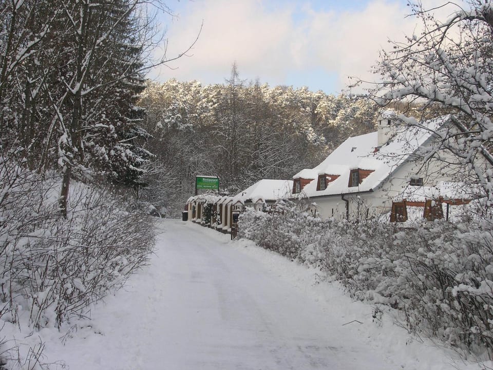 Neighbourhood, Area and facilities