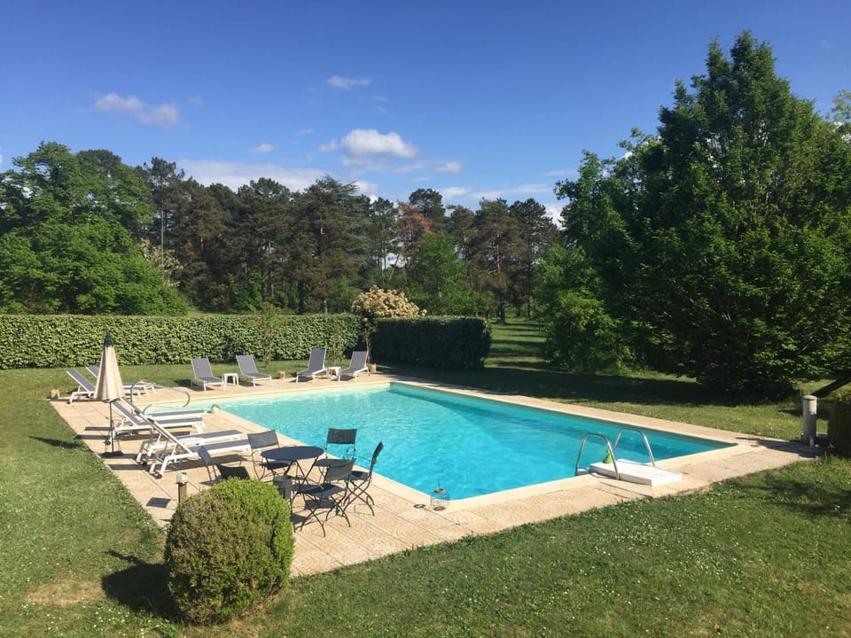 Garden, Swimming pool, Swimming pool
